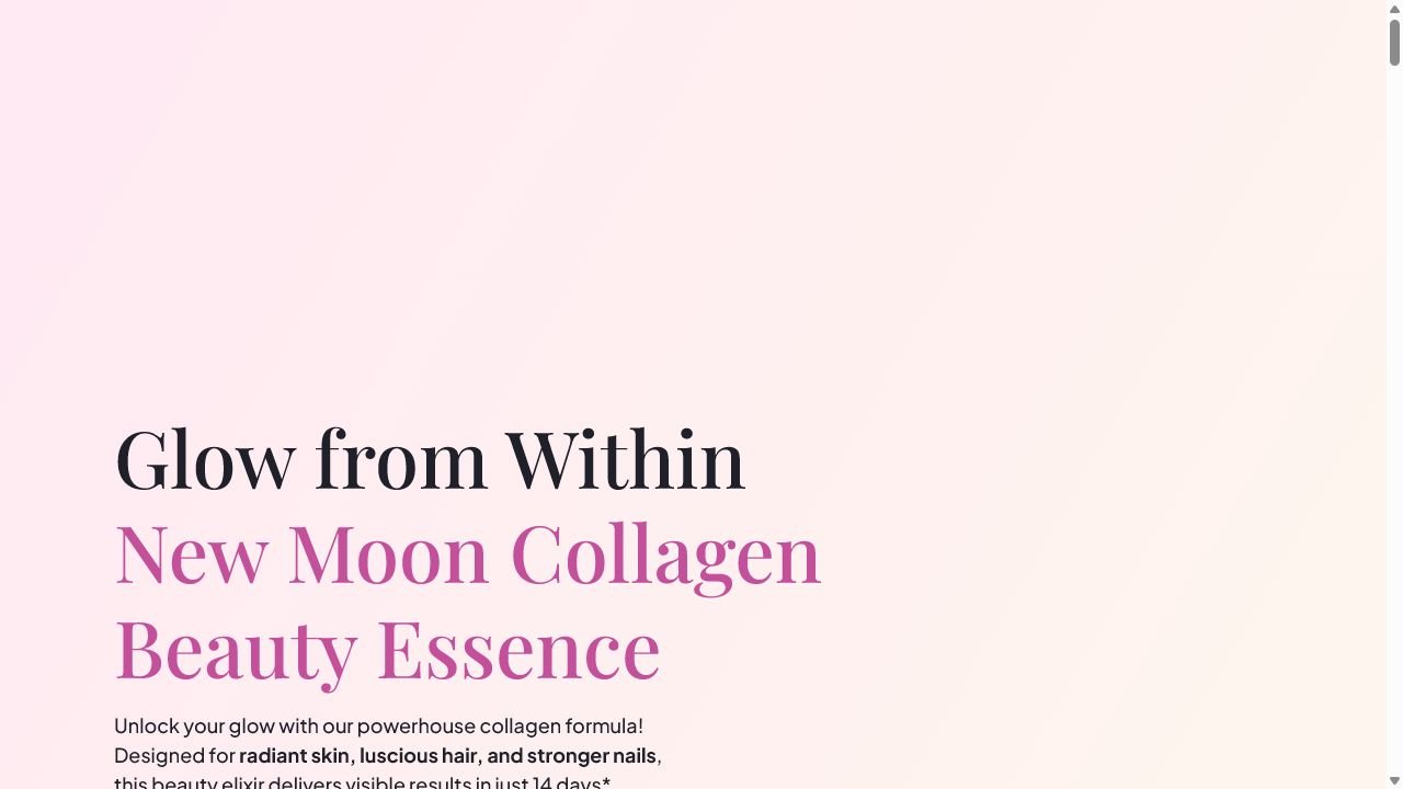 NewMoon project preview